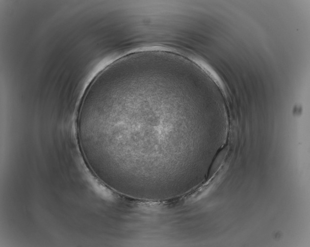 X0000094450813200712061159