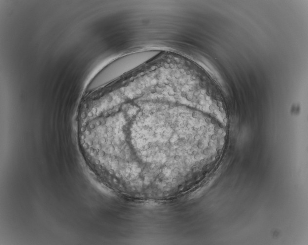 X0000094450814200712061159