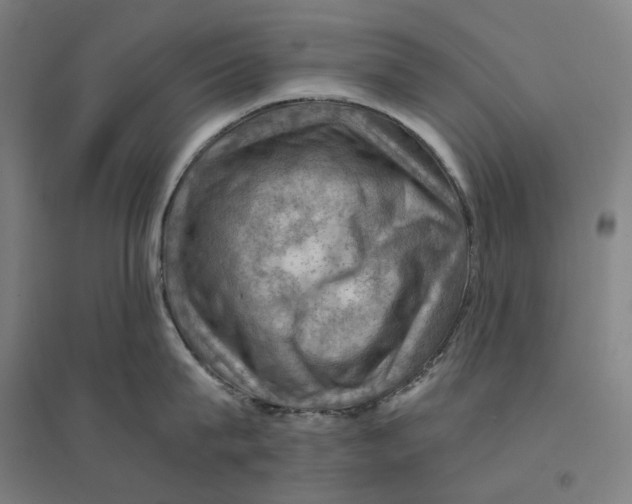 X0000094450815200712061159