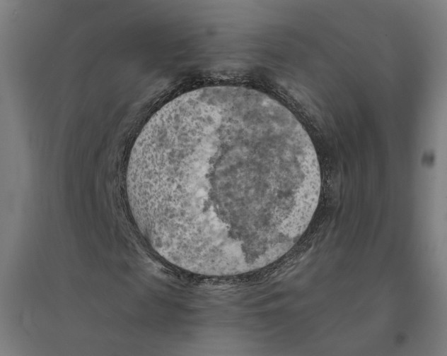 X0000094450817200712061158