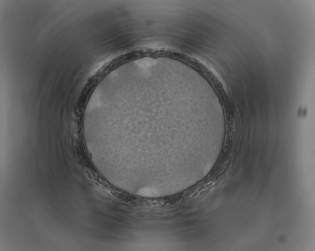 X0000094450823200712061158