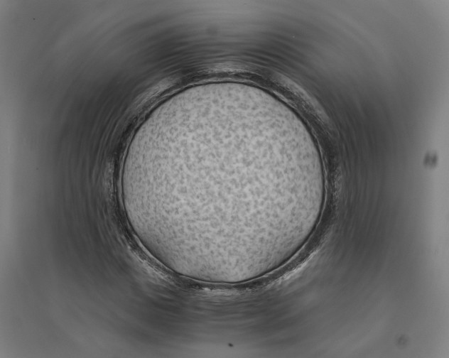 X0000094450825200712061158