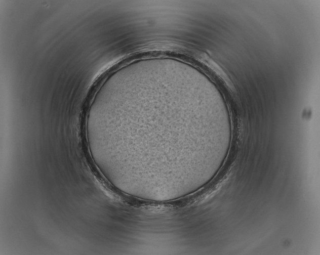 X0000094450826200712061158