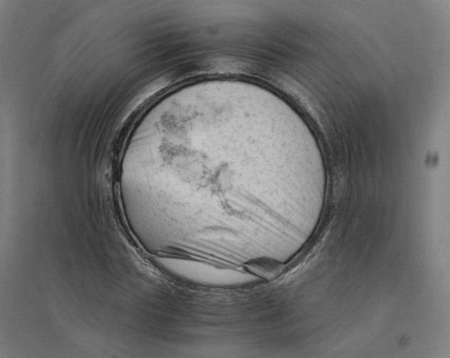 X0000094450827200712061158