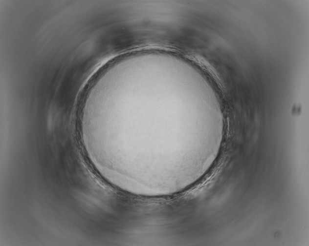 X0000094450828200712061158