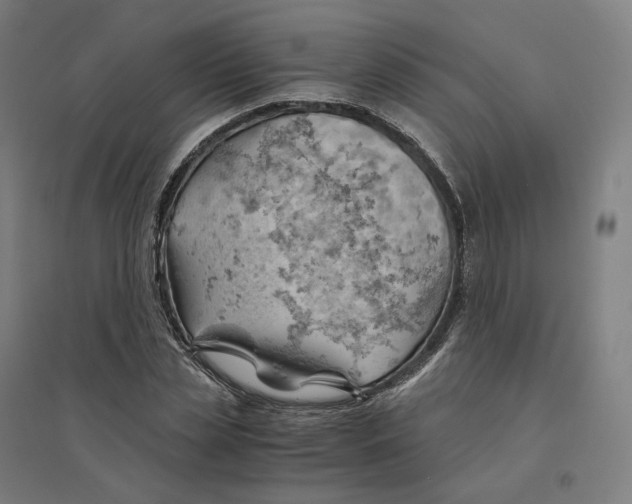 X0000094450829200712061158