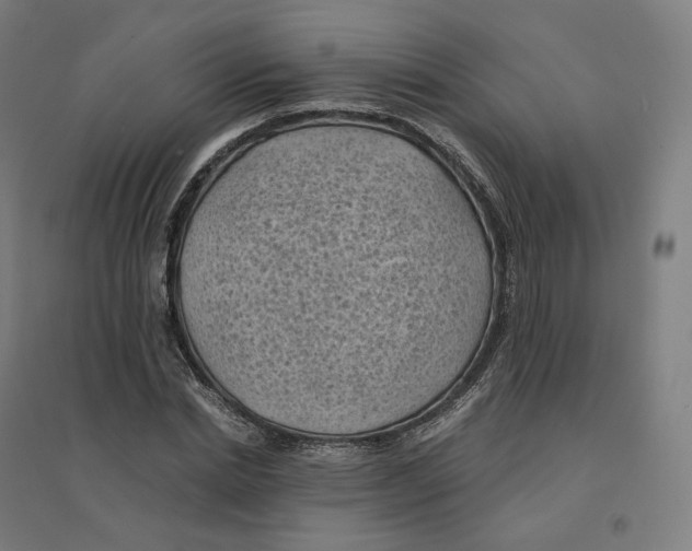 X0000094450830200712061158