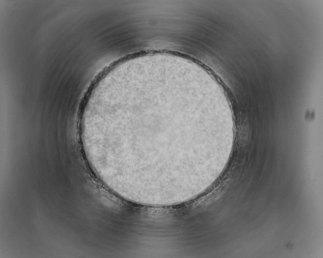 X0000094450832200712061158