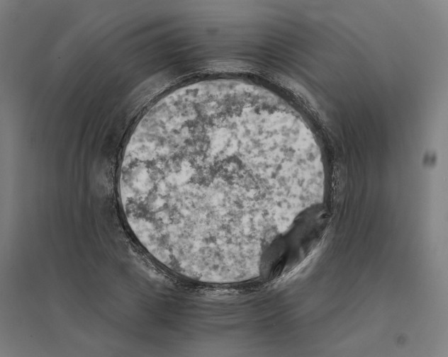 X0000094450833200712061158