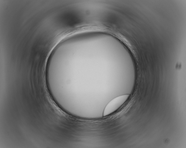 X0000094450836200712061158