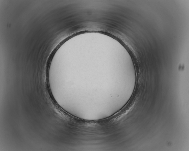 X0000094450837200712061158