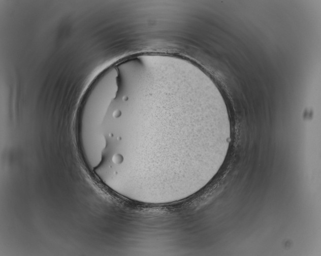 X0000094450838200712061158