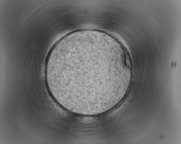 X0000094450839200712061158