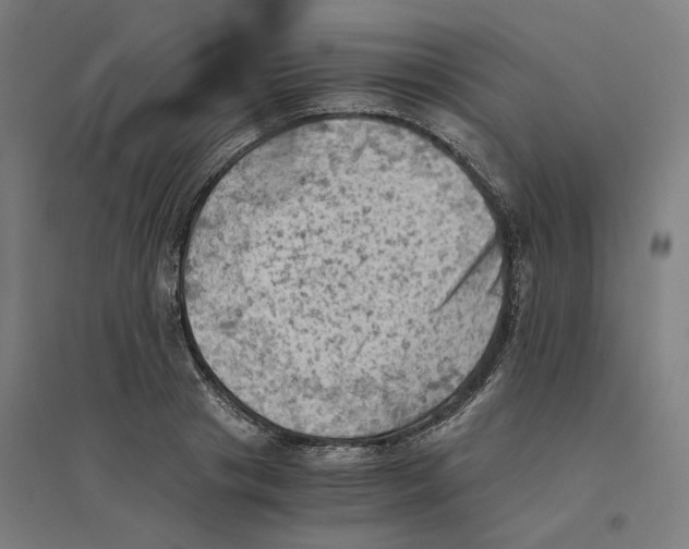 X0000094450841200712061159