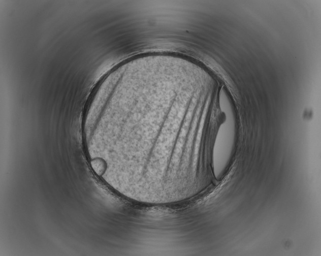 X0000094450842200712061159