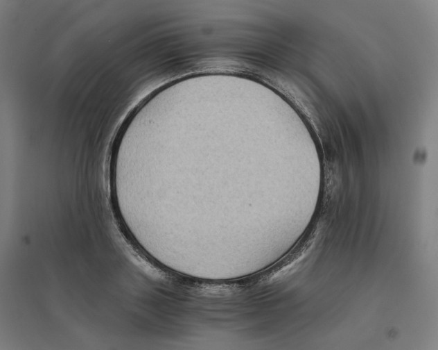 X0000094450843200712061159