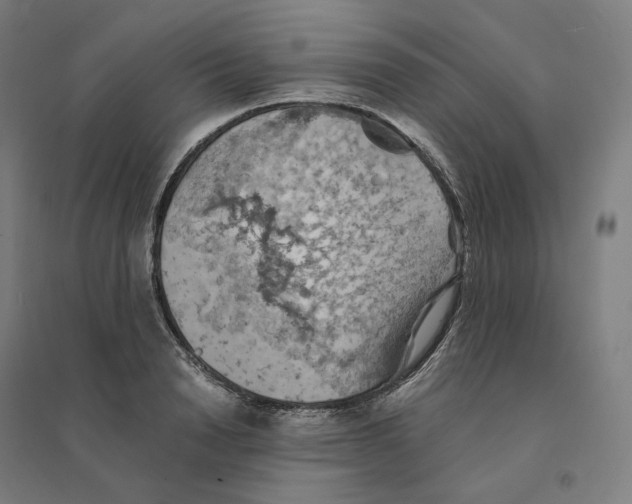 X0000094450846200712061159