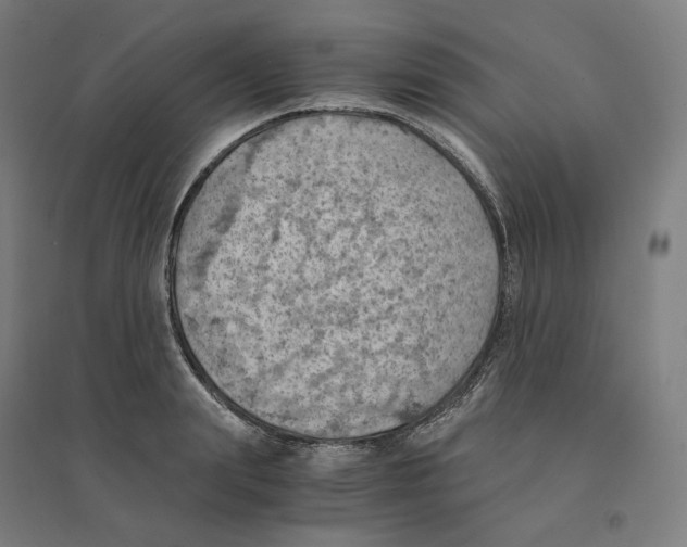 X0000094450847200712061159