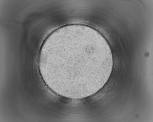 X0000094450848200712061159