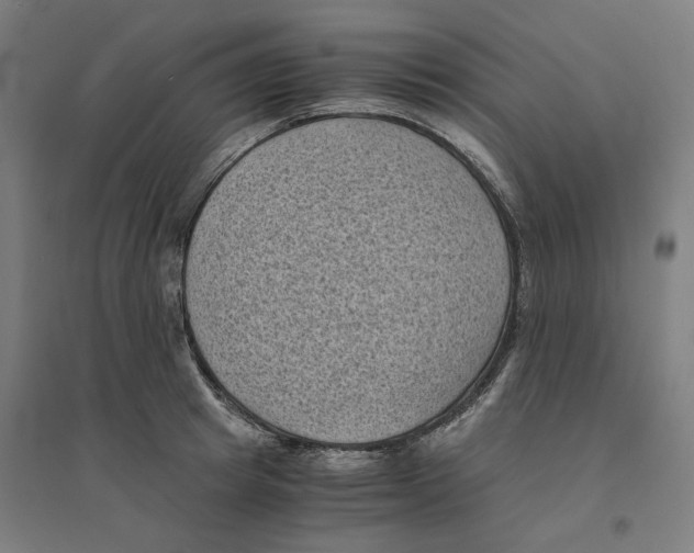 X0000094450849200712061159