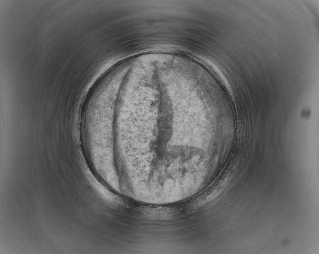 X0000094450851200712061159