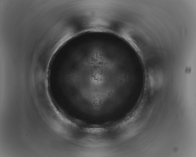 X0000094450853200712061159