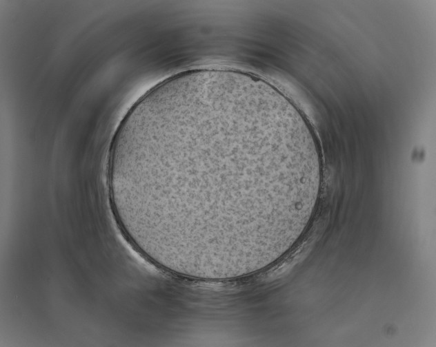 X0000094450855200712061159