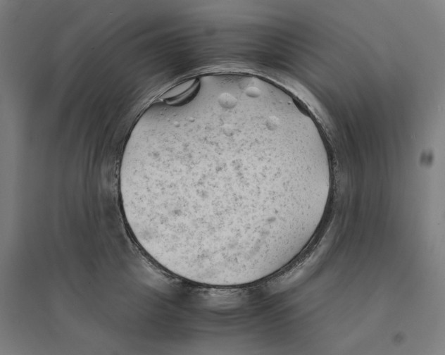 X0000094450857200712061159