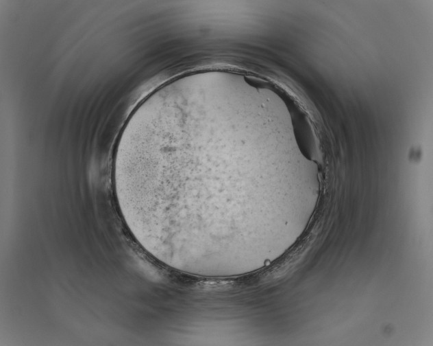 X0000094450858200712061159