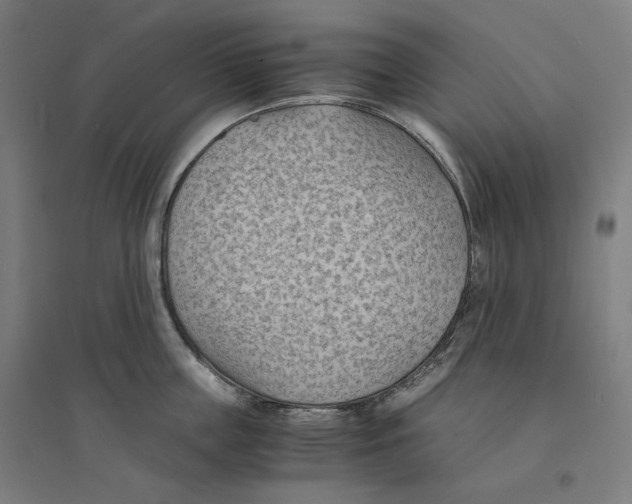 X0000094450859200712061159