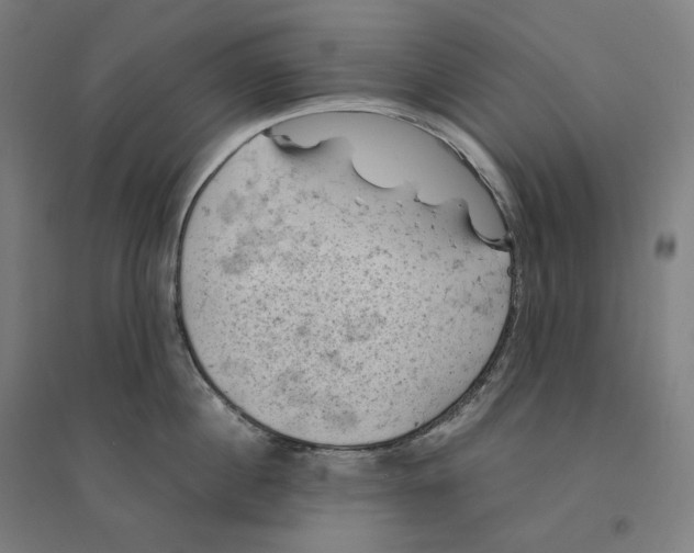 X0000094450860200712061159