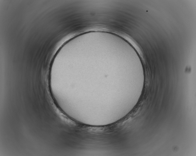 X0000094450861200712061159