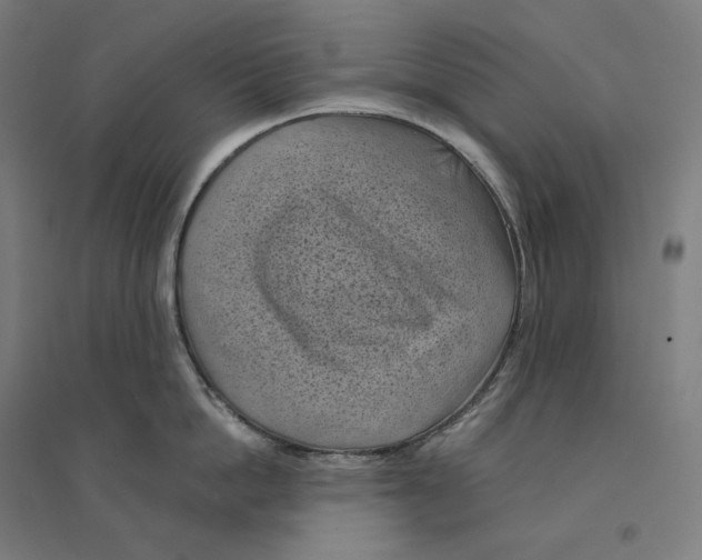 X0000094450862200712061159