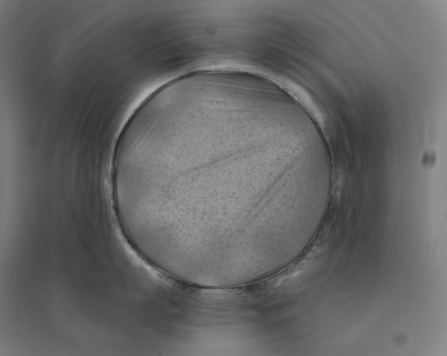 X0000094450863200712061159