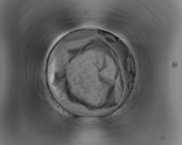 X0000094450864200712061159