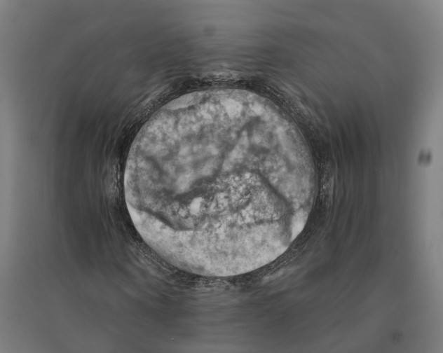 X0000094450866200712061158