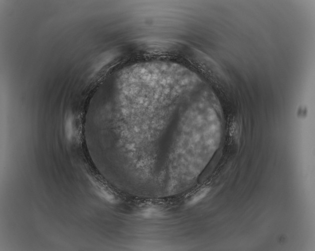 X0000094450868200712061158