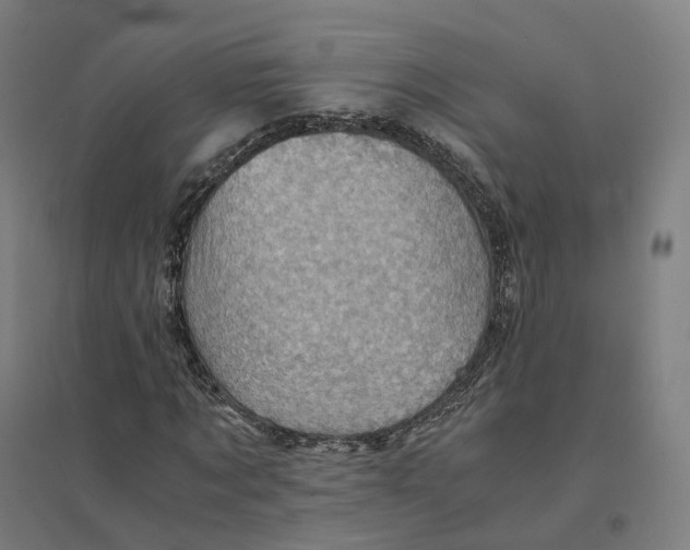 X0000094450869200712061158