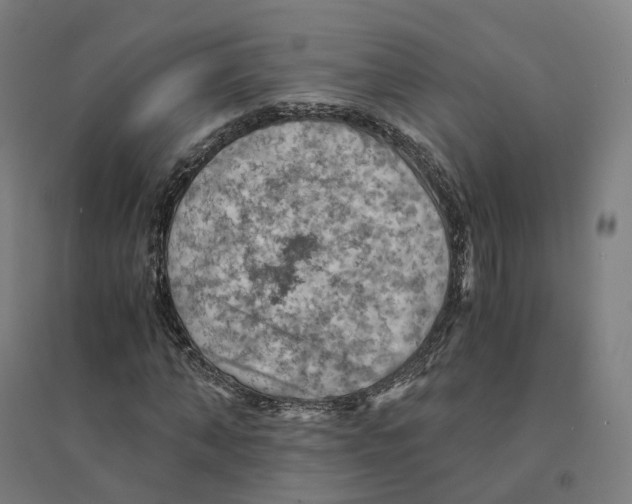 X0000094450870200712061158