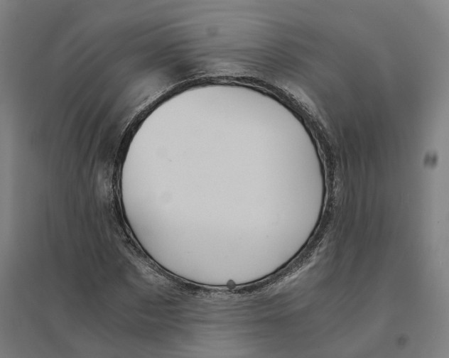 X0000094450873200712061158