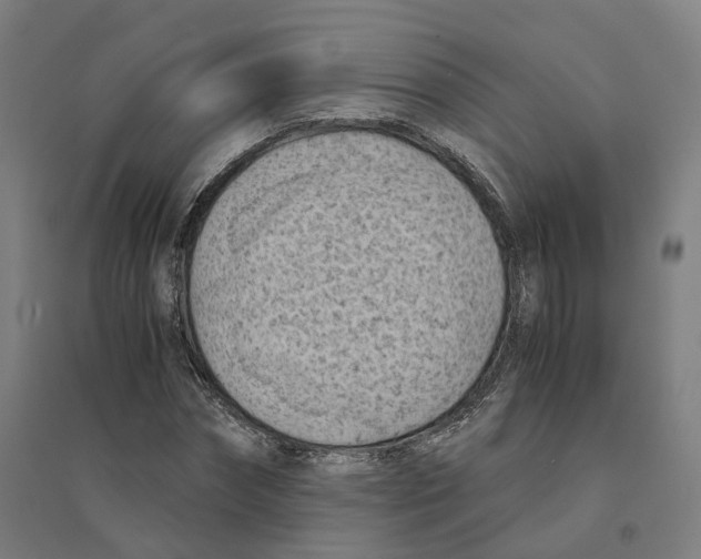 X0000094450874200712061158