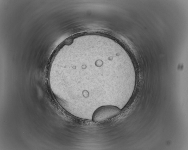 X0000094450875200712061158