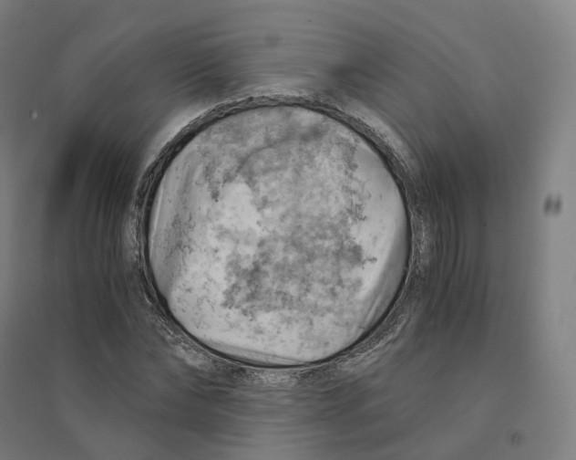 X0000094450878200712061158