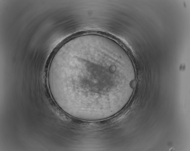 X0000094450879200712061158