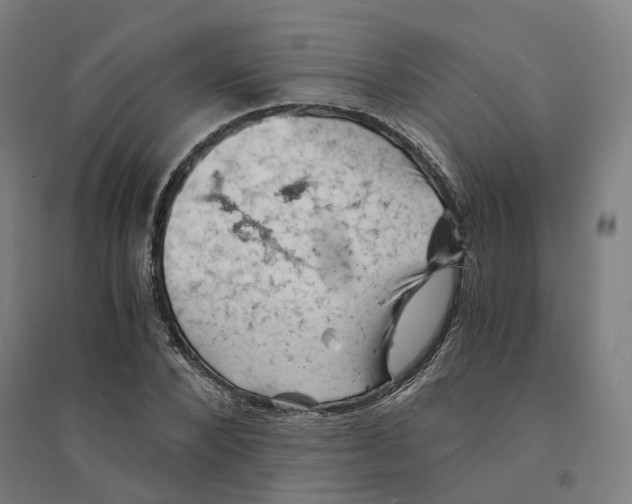 X0000094450880200712061158