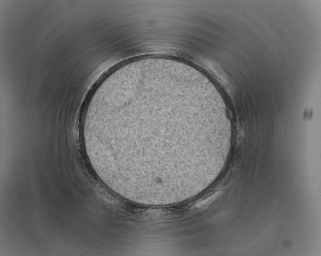 X0000094450883200712061158