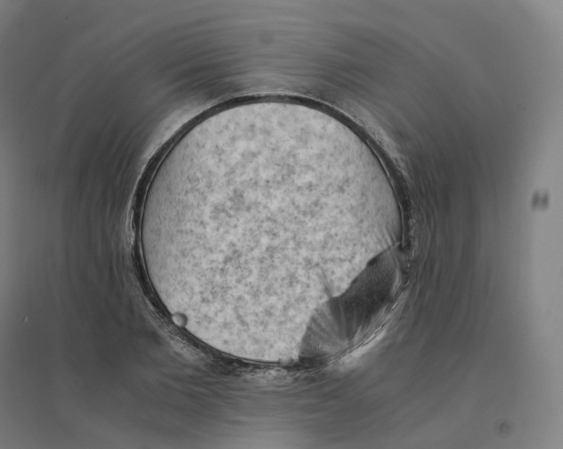 X0000094450885200712061158