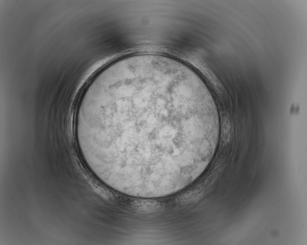 X0000094450886200712061158