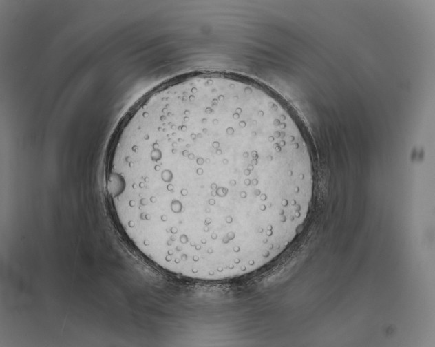 X0000094450887200712061158