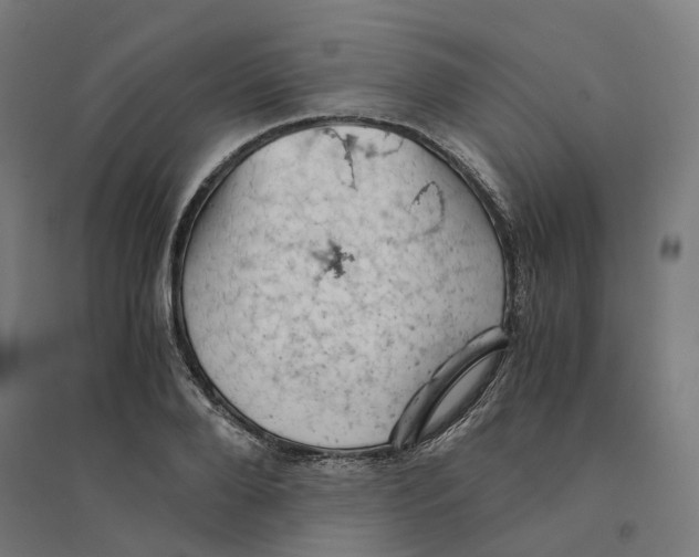 X0000094450888200712061158